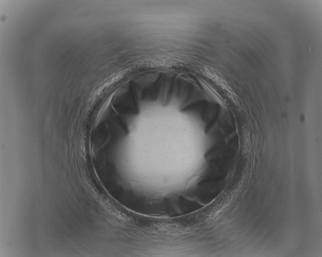 X0000072530681200608041558