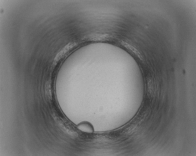 X0000072530682200608041558