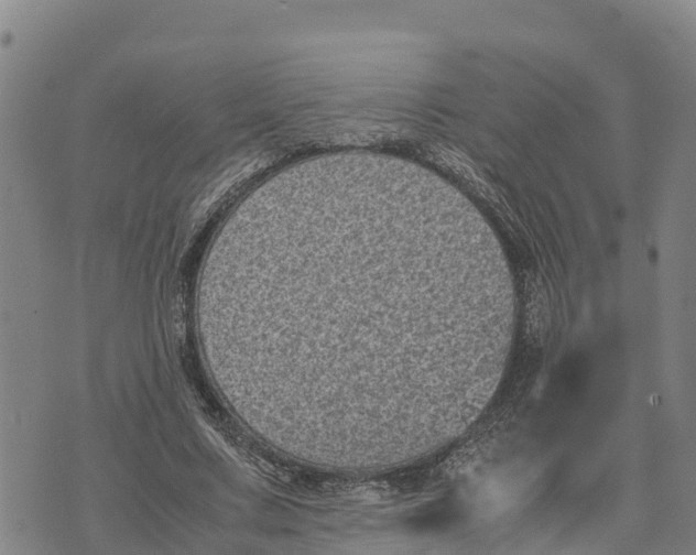 X0000072530683200608041558