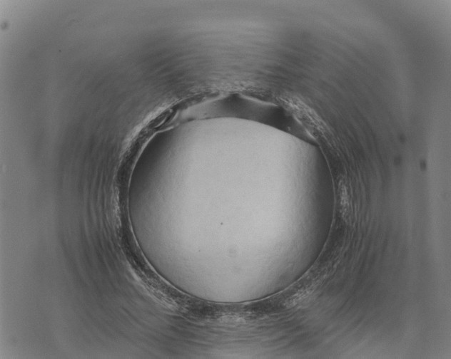 X0000072530684200608041557