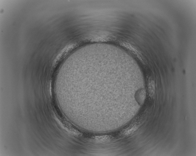 X0000072530686200608041557