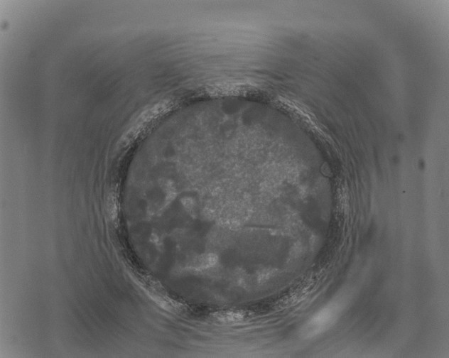 X0000072530687200608041557