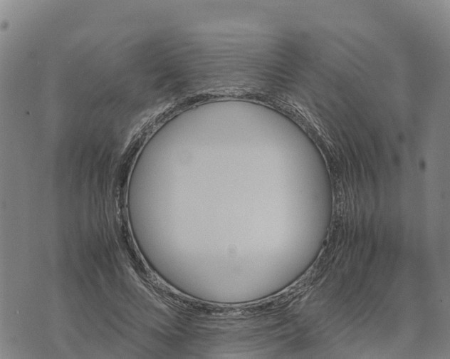 X0000072530688200608041557