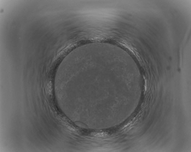 X0000072530689200608041557