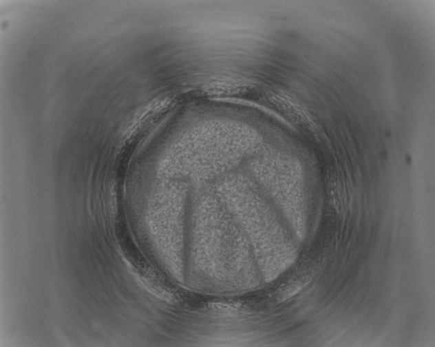 X0000072530690200608041557