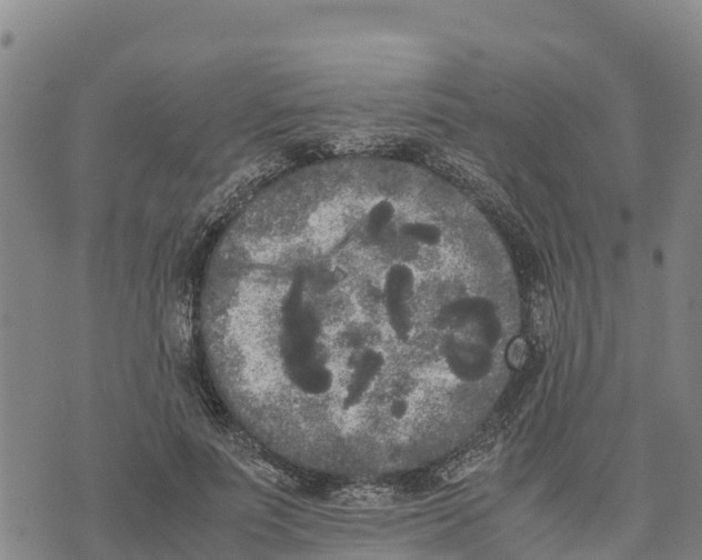 X0000072530691200608041557