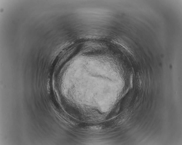 X0000072530692200608041557