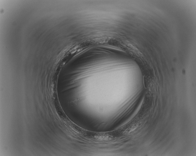 X0000072530693200608041557