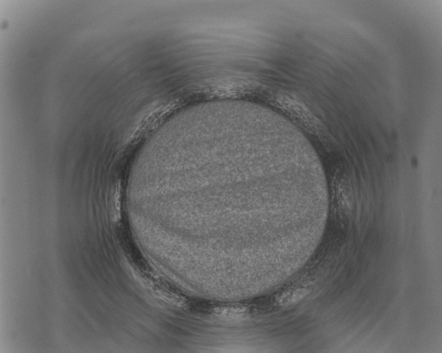 X0000072530694200608041557