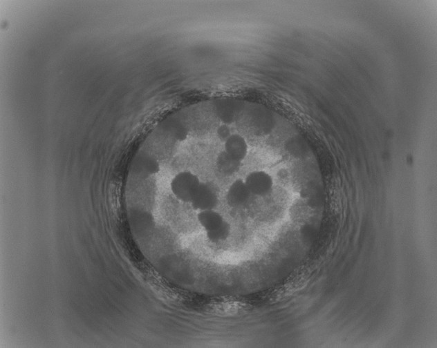 X0000072530695200608041557