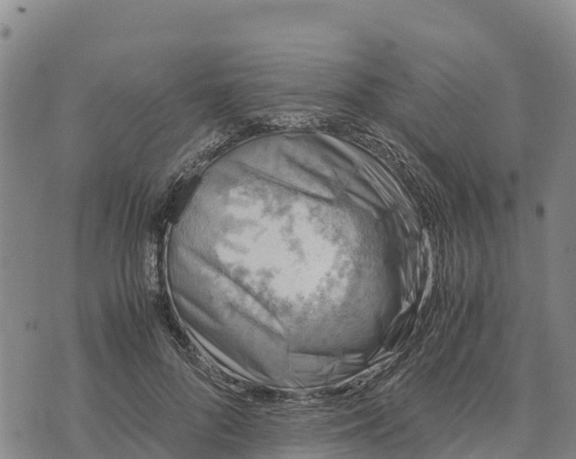 X0000072530696200608041557