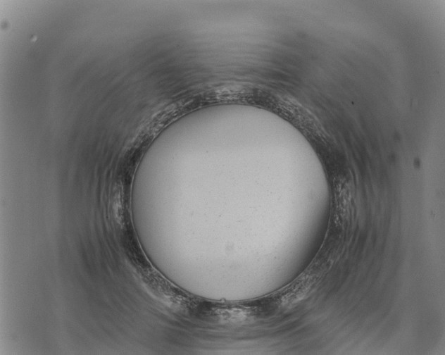 X0000072530698200608041557