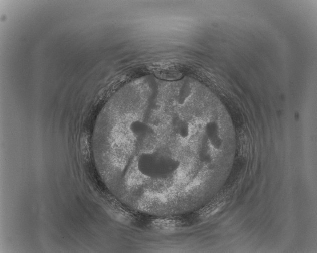 X0000072530699200608041557