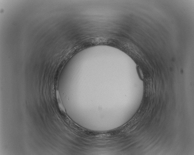 X0000072530700200608041557