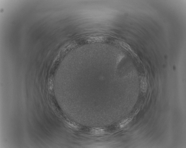 X0000072530701200608041557