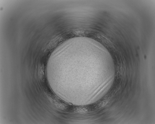 X0000072530702200608041557