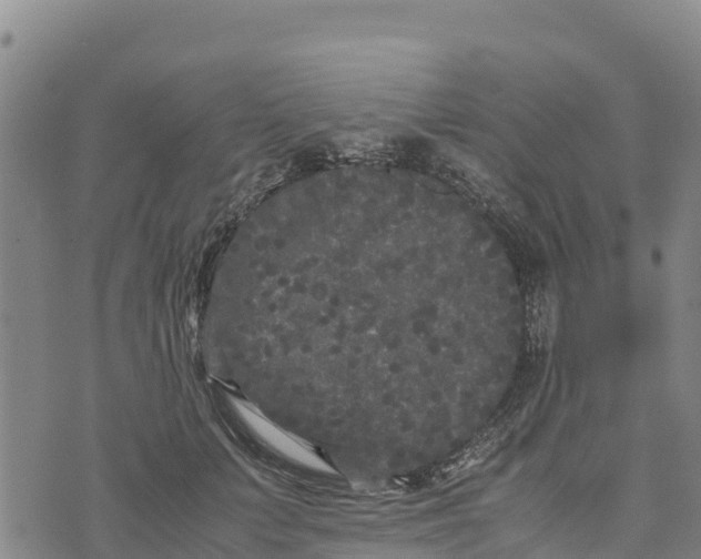 X0000072530703200608041557