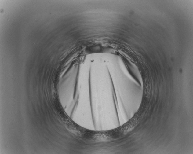 X0000072530704200608041557