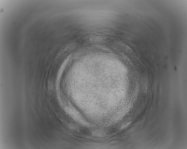 X0000072530705200608041557