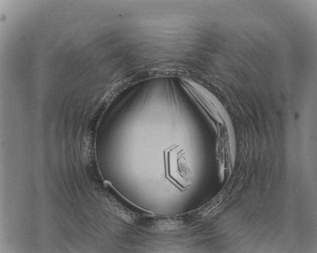 X0000072530708200608041557