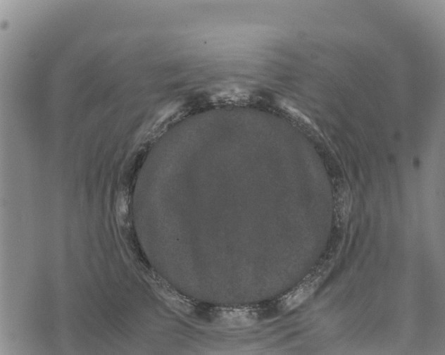 X0000072530709200608041557