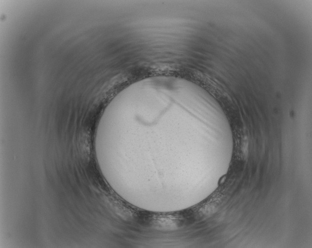 X0000072530710200608041557