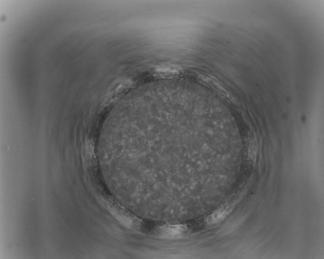 X0000072530711200608041557