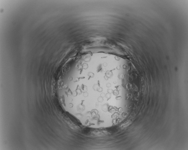 X0000072530712200608041557