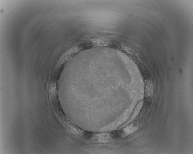 X0000072530713200608041557