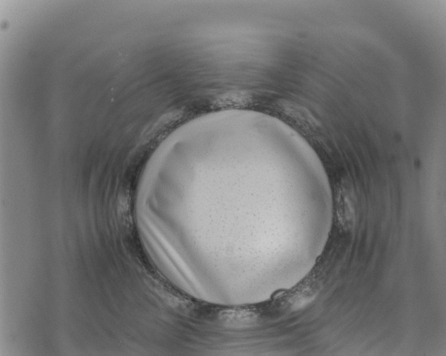 X0000072530714200608041557