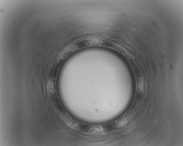 X0000072530715200608041557