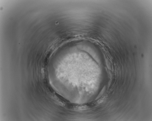 X0000072530716200608041557