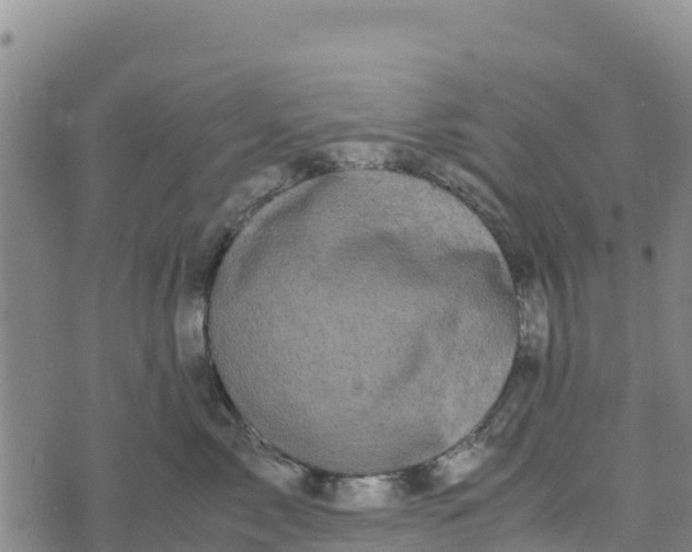 X0000072530717200608041557