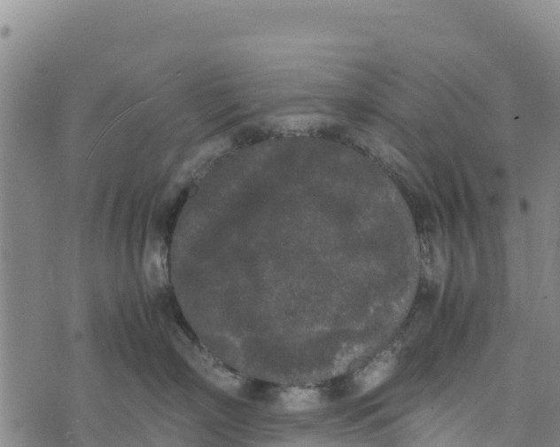 X0000072530718200608041557