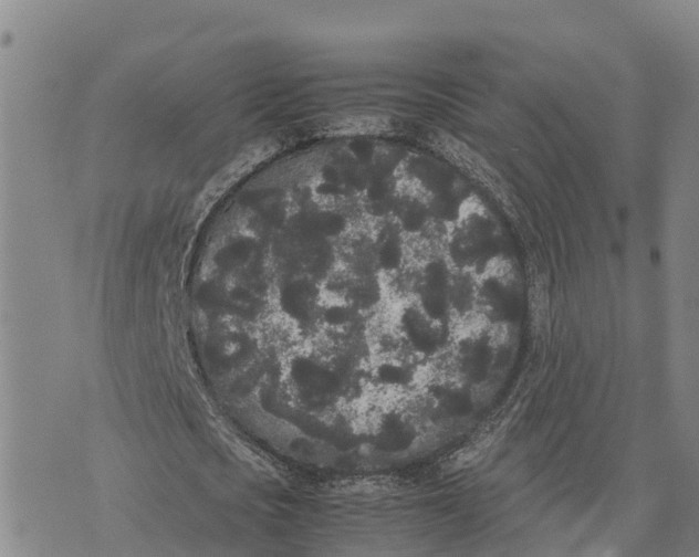 X0000072530721200608041556