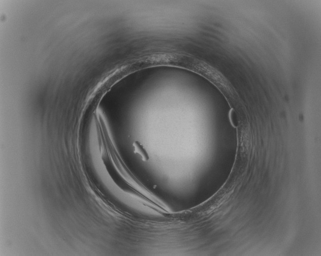 X0000072530722200608041556