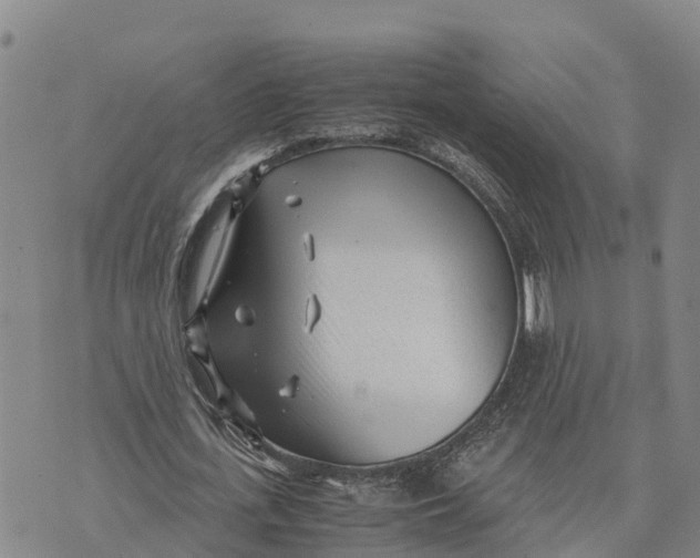 X0000072530723200608041556