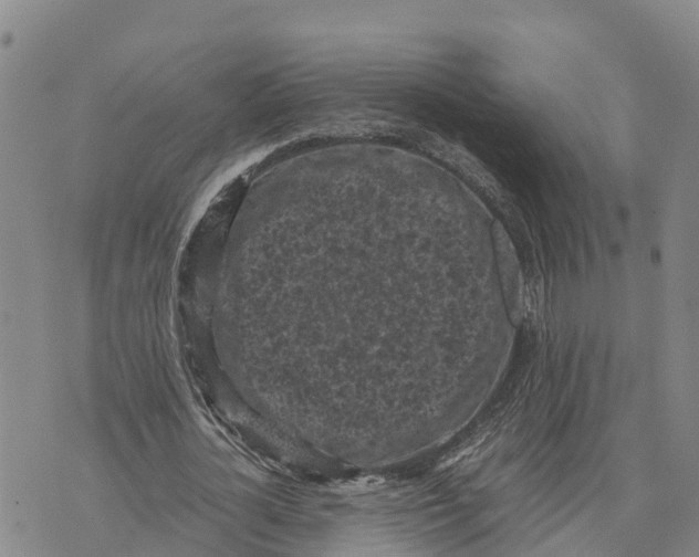 X0000072530724200608041556