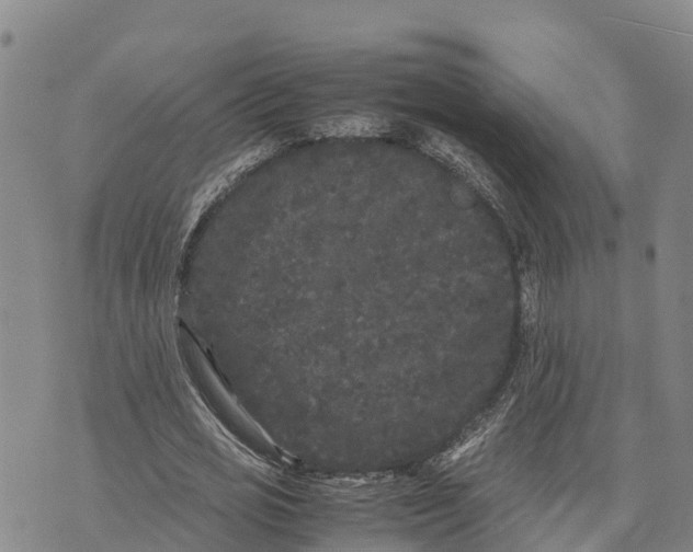 X0000072530725200608041556