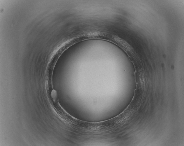 X0000072530728200608041556