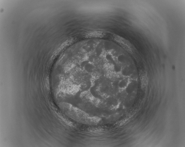 X0000072530729200608041556