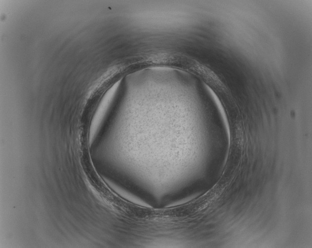 X0000072530730200608041556