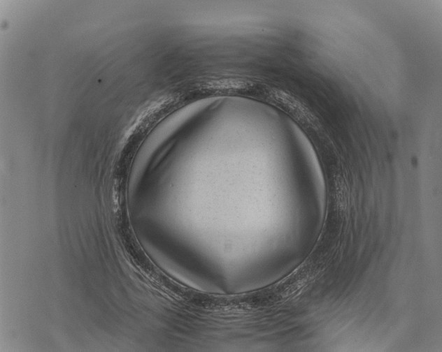 X0000072530731200608041556