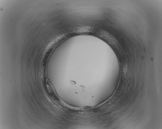 X0000072530732200608041556