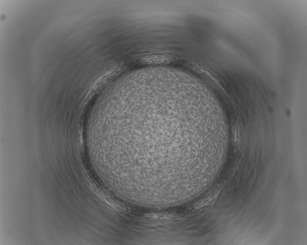 X0000072530733200608041556