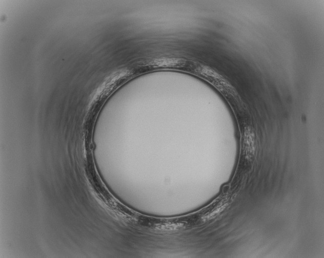 X0000072530734200608041556