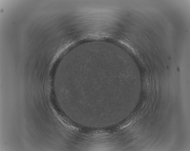 X0000072530736200608041556