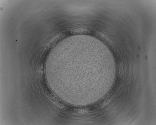 X0000072530737200608041556