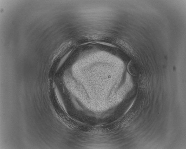 X0000072530738200608041556