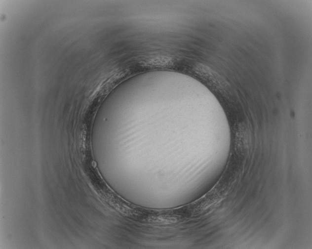 X0000072530739200608041556